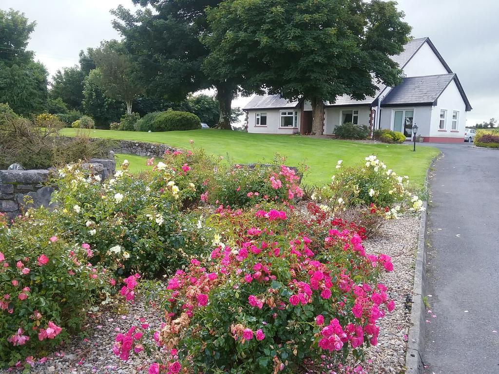 Rocksberry Bed & Breakfast Castlebar Zewnętrze zdjęcie